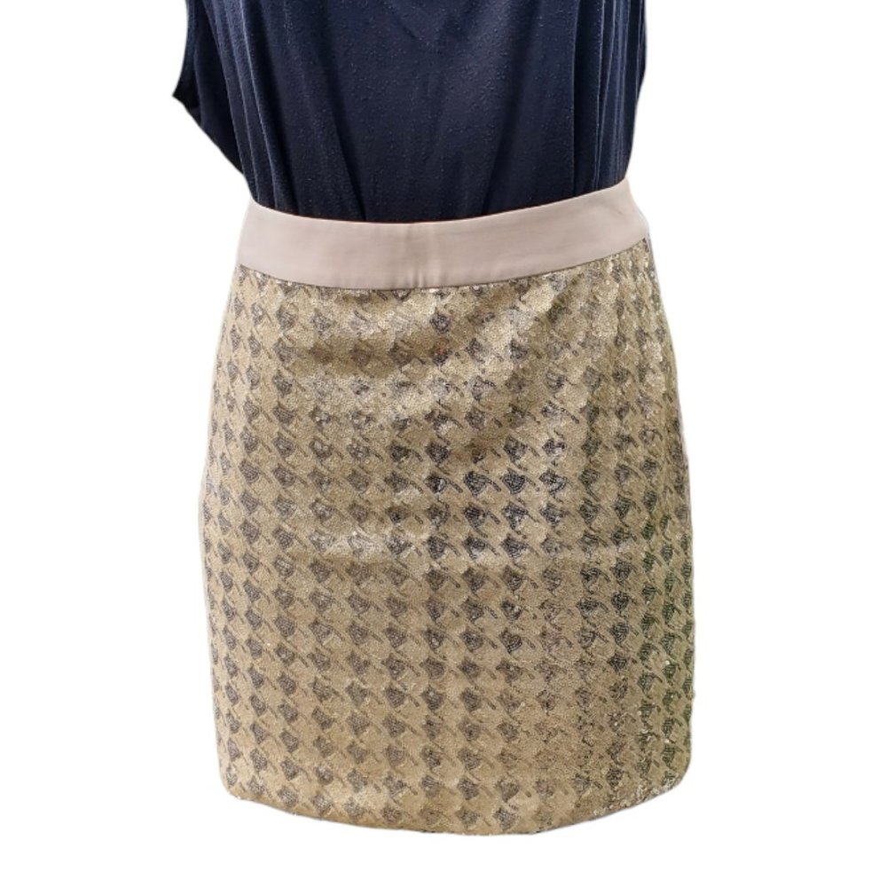 The Limited Sequin Skirt - NWT - Picture 3 of 15